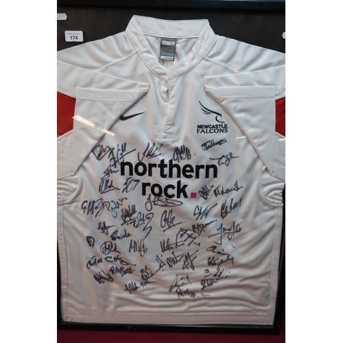 277 - Framed & mounted signed Newcastle Falcons Northern Rock sponsored rugby jersey