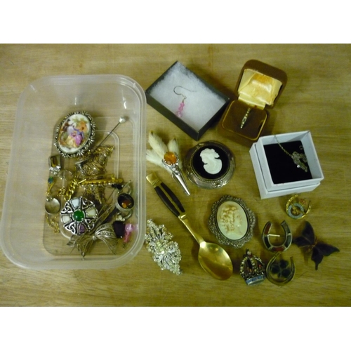 238 - Selection of various costume jewellery including Scottish style cameo brooch, various lapel badges e... 