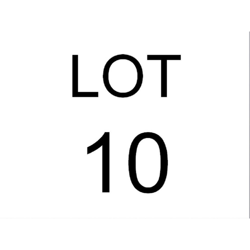 Lot 10        