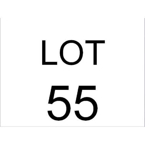 Lot 55        