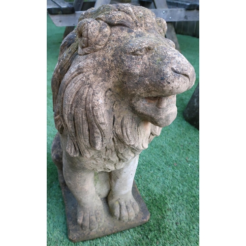 524 - Pair of apposing concrete well weathered sitting lions