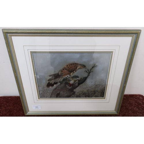 391 - Unusual framed and mounted mixed collage artwork of a bird of prey with prey in naturalistic setting... 