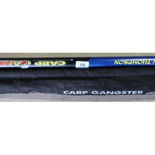 381 - Two carp rods, both by Ron Thompson