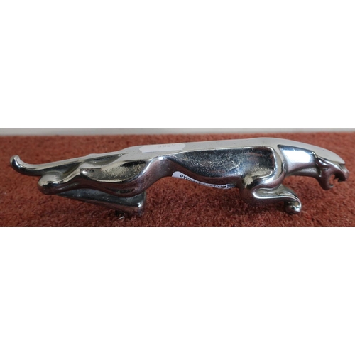 105 - Original chrome plated Jaguar car mascot (19cm length)