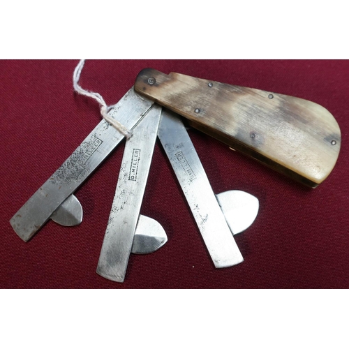 290 - Victorian three bladed fleam by D. Miller with cow horn grips