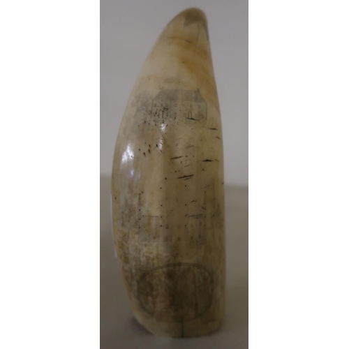 61 - 19th C scrimshaw whales tooth with detail to the point, various country style houses and three saili... 