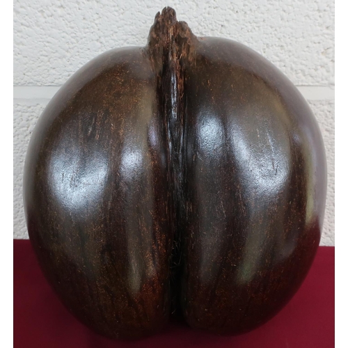 88 - Large Coco-De-Mer shell (32cm x 28cm x 16cm)