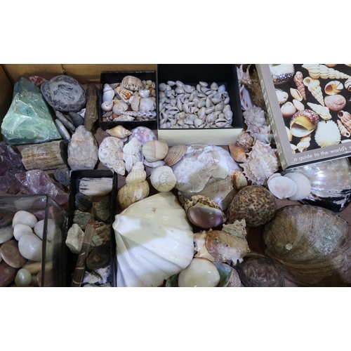 354 - Box containing a large quantity of various assorted sea shells, gem stones, minerals etc including T... 