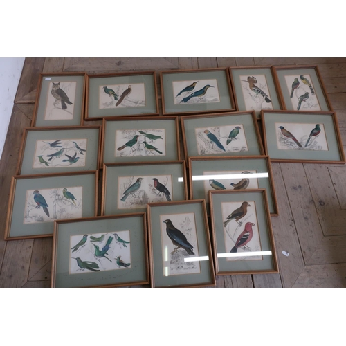 29 - Quantity of framed & mounted and various loose coloured natural history bird prints - 15 framed book... 