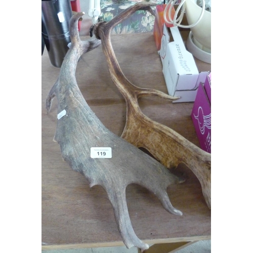 119 - Pair of fallow deer antlers (not a set)