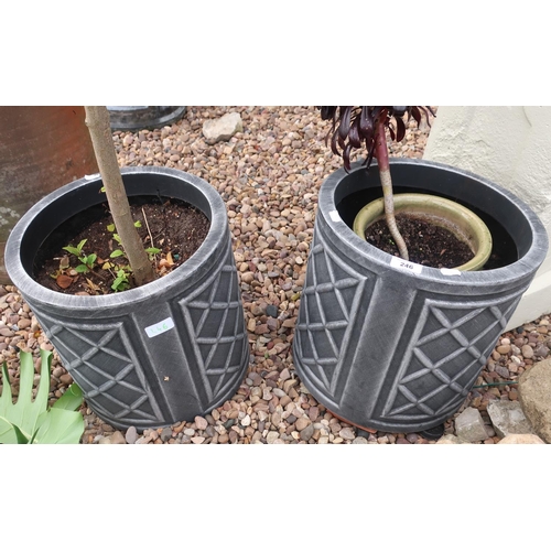 246 - Two matching pots with shrubs