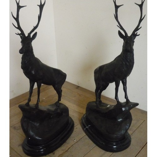 29 - Pair of bronzed stags on rocky outcrop,on oval stepped marble bases (75cm)
