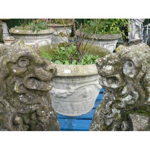 1 - Pair of stone gate post capitals in the form of rampant lions holding scroll parchments (height 38 i... 