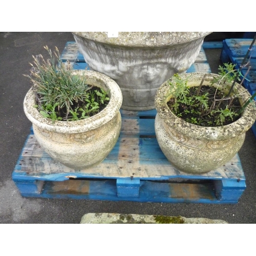 3 - Pair of reconstituted stone planters with flower design (15