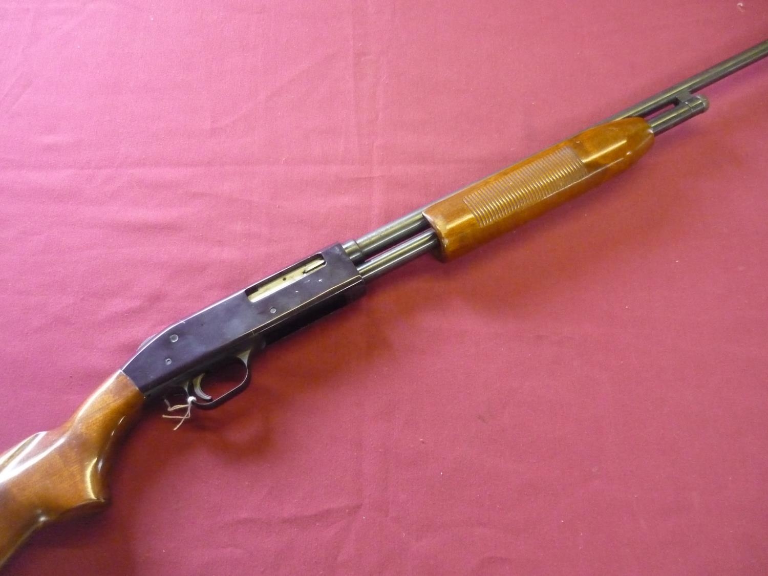 Pink 410 Shotgun