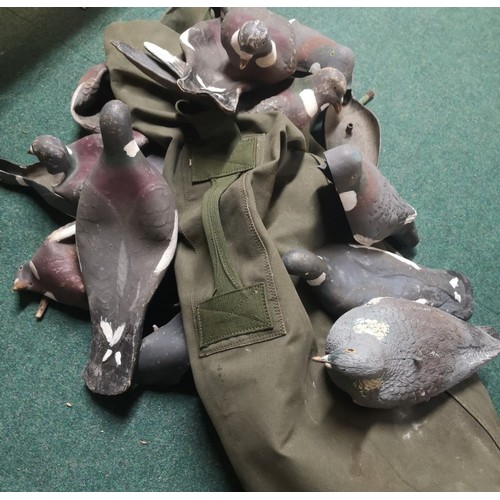 995a - Selection of pigeon decoys in a kit bag