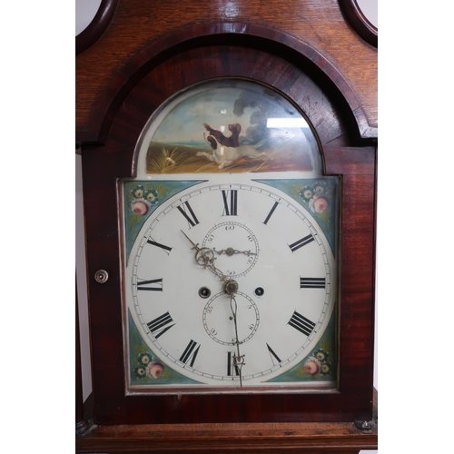 447 - 19th C mahogany long cased clock, painted roman dial, fan carved detail, bracket feet, eight day mov... 