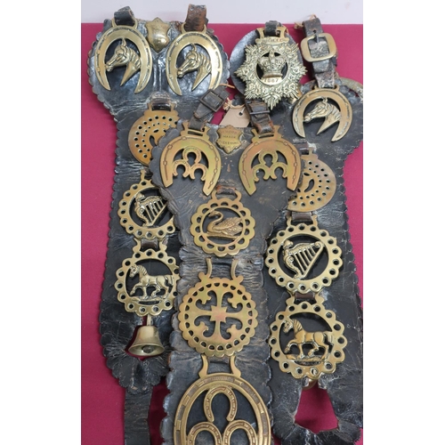 28 - Collection of fifteen Victorian horse brasses on three leather straps, stamped T Hood, Maker - Picke... 
