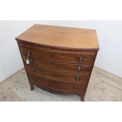 31 - Early 19th C mahogany bow front dressing chest, moulded top above brushing slide and four graduated ... 