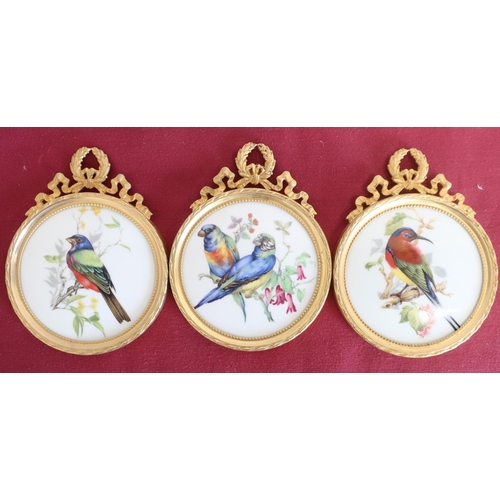61 - Set of three Limoges circular plaques, printed and enameled with exotic birds, in gilt metal frames ... 