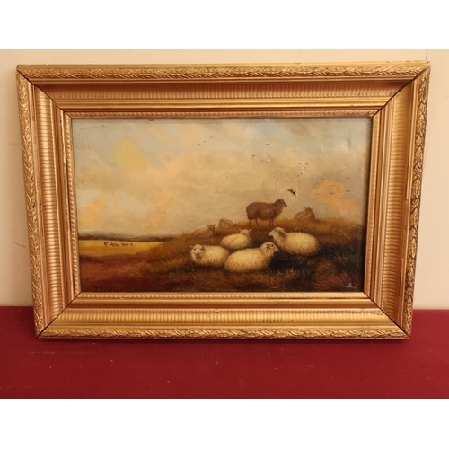 32 - T. Jackson (19th C): Sheep and cattle in an extensive  landscape, oil on canvas, signed, 23cm x 39cm