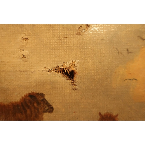 32 - T. Jackson (19th C): Sheep and cattle in an extensive  landscape, oil on canvas, signed, 23cm x 39cm