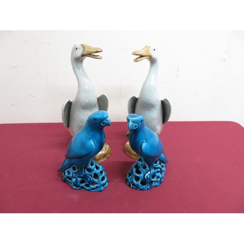 356 - Large pair of Chinese ceramic ducks (H26cm) and a pair of blue glazed parakeets (H16.5cm)