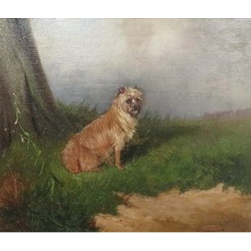 333 - Colin Graham Roe (1858 - 1910) 'Toby', study of a wire haired terrier by a tree