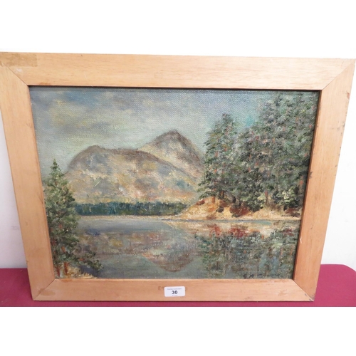 30 - Greenup Moorson Storm (20th C): Lake District scene, oil on canvas, signed (43cm x 44cm)