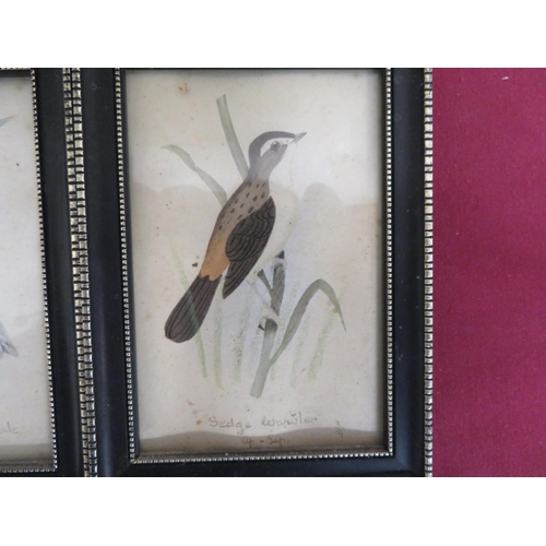 269 - Collection of small over-painted Ornithological prints, Long Ear, Short Ear, and Tawny Owls, Sparrow... 