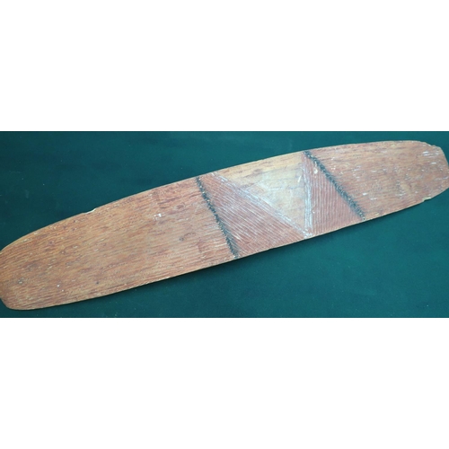 131 - Aboriginal carved wood shield of narrow form with traces of painted decoration (64cm x 12cm)
