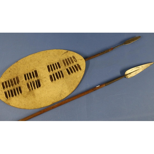 173 - Two African hand spears and a small cows hide Zulu type shield (55cm x 35cm)