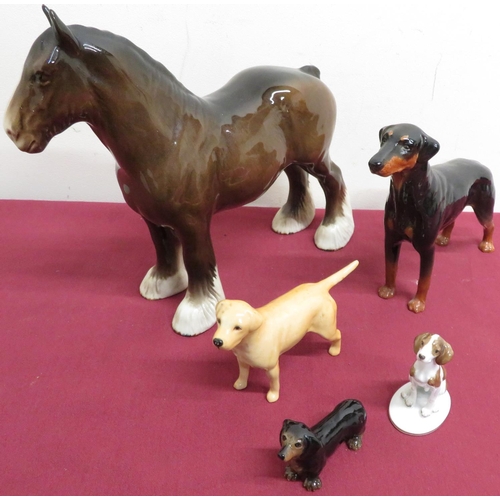 16 - Beswick models of a Shire horse, a Doberman and a Labrador, unmarked model of a Dachshund and a porc... 