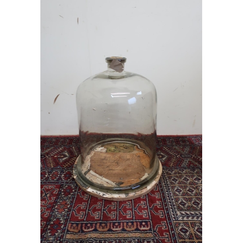 75 - Large clear glass cloche/scientific bell jar with cork stopper, approx H48cm at base D38.5cm