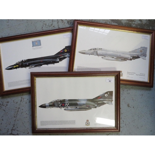 43 - Three framed prints of Phantom Aircraft, Squadrons 43, 19 and 111 (3), 49cm x 34cm including frames