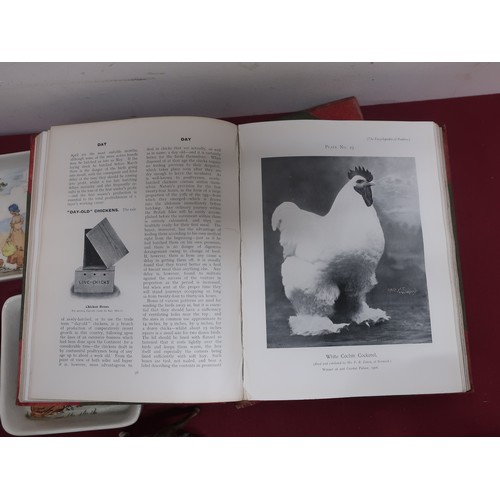 349 - 'The Encyclopedia of Poultry' edited by J T Brown F.Z.S, with B & W illustrations, two volumes, coll... 