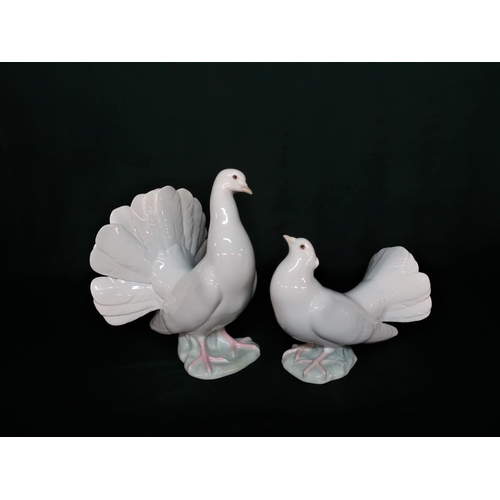 94 - Lladro figurines 1015 and  1016 of Doves, H20cm.