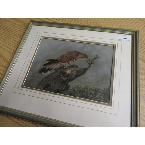 424 - Unusual framed and mounted mixed collage artwork of a bird of prey with prey in naturalistic setting... 