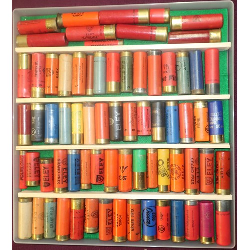 491 - Cartridge collectors mixed display case of various assorted Eley shotgun cartridges (shotgun certifi... 