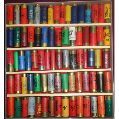 493 - Shotgun cartridge collectors display case with various assorted cartridges of various makes includin... 