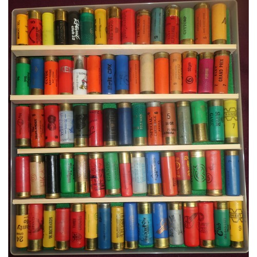 494 - Shotgun cartridge collectors display case of various assorted cartridges of various manufacturers in... 