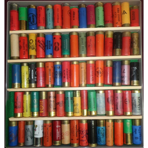 496 - Cartridge collectors display case of shotgun cartridges by various manufactures including Eley, Holl... 