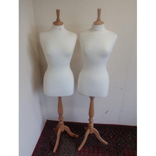 559 - Pair of female torso dressmakers dummies on beech tripod supports H157cm (2)