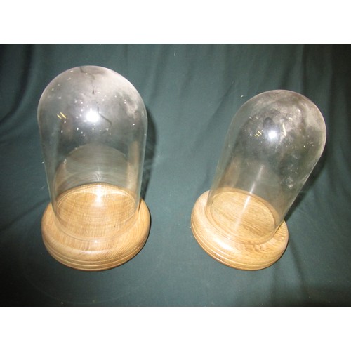 268 - Two glass domes on turned wooden bases, H26cm