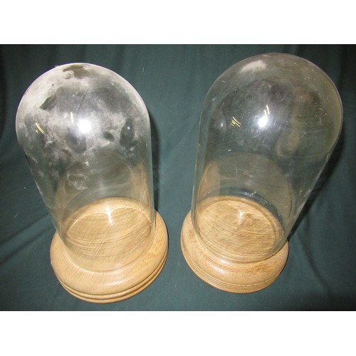 269 - Two glass domes on turned wooden bases, H30cm