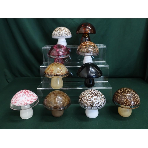 44 - Wedgwood glass mushrooms in various colours and designs, H10cm (10)
