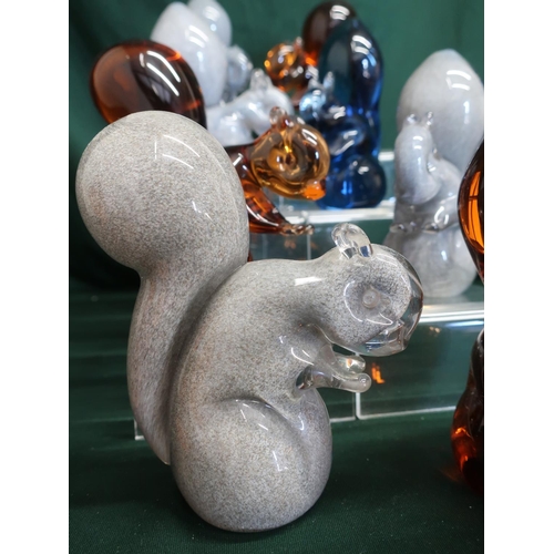 48 - Collection of various Wedgwood glass squirrels, H13 cm (10)