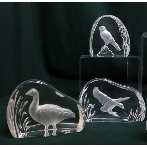 74 - Collection of Wedgwood crystal etched glass decorative plaques to include owl, duck, woodpecker, eag... 
