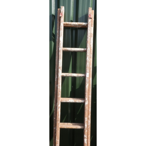 16 - Set of two tier ladders