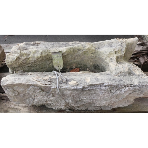 481 - York Minister Stone - two pieces of York stone 35cm x 37cm x 36cm